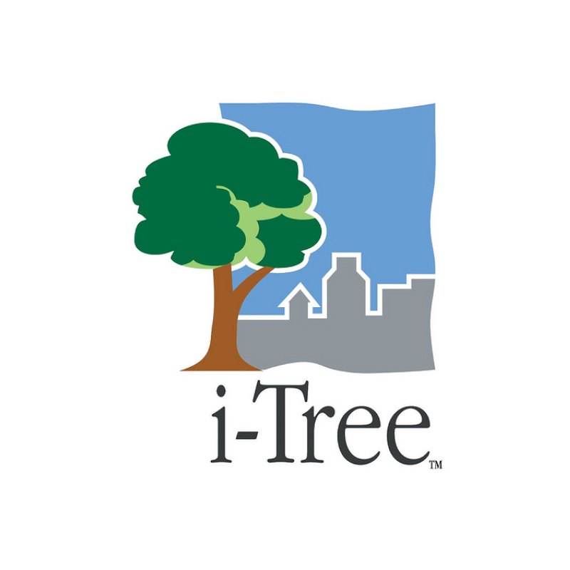 iTree logo