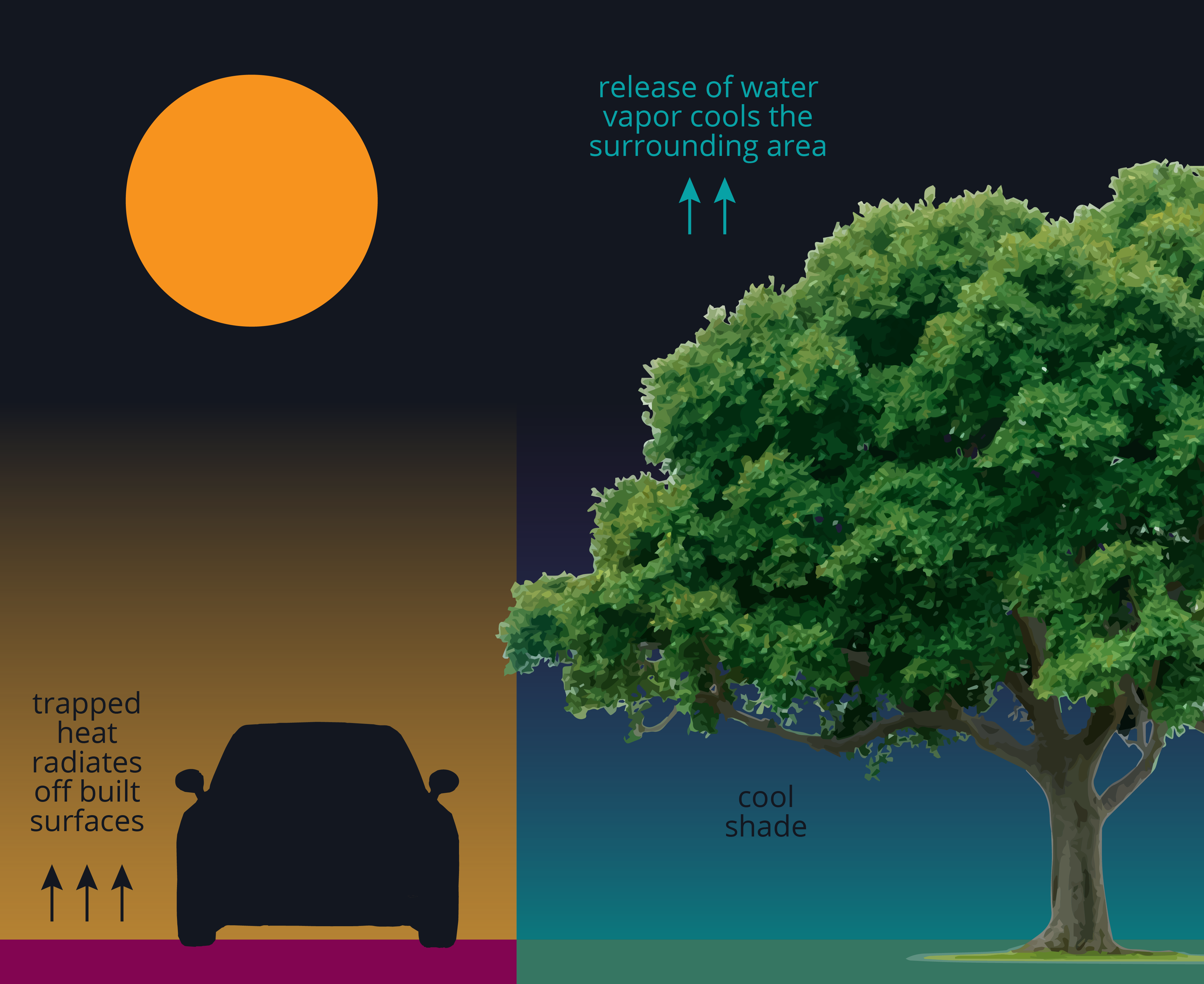 Urban heat graphic